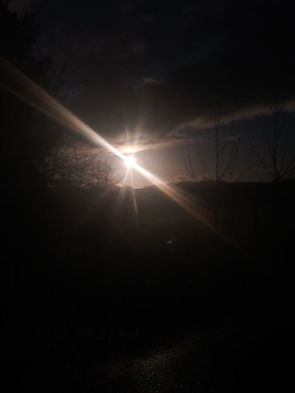 SUNLIGHT STREAMING THROUGH SILHOUETTE TREE DURING SUNSET