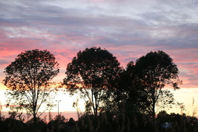 Low angle view of silhouette trees against sky during sunset