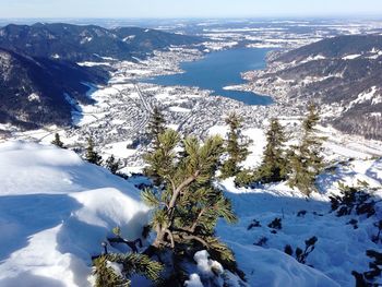 Snow covered trees against sky