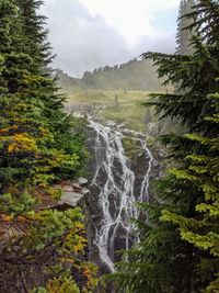 Scenic view of waterfall in forest against sky