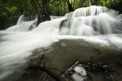 Scenic view of waterfall in forest