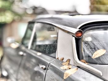 Close-up of vintage car