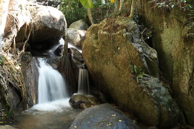 Close-up of waterfall in forest