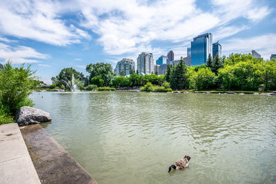 Scenic view of river by buildings against sky