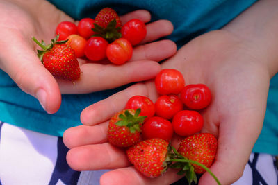 Close-up of hand holding strawberries