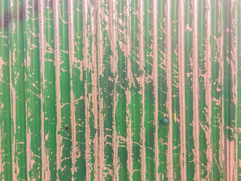 Full frame shot of bamboo on wall