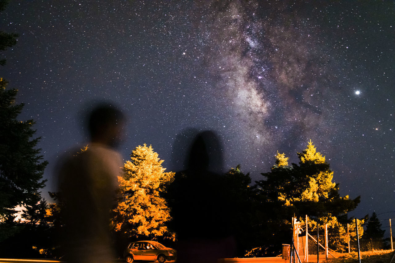 LOW ANGLE VIEW OF SILHOUETTE TREE AGAINST SKY AT NIGHT