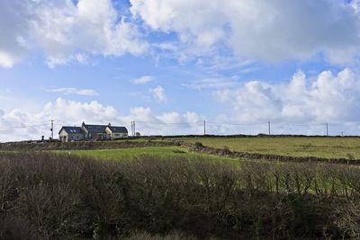 Scenic view of agricultural field against sky