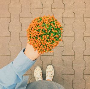 Low section of person standing by flowering plants