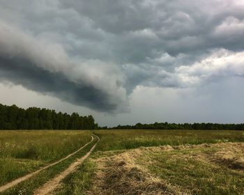 Scenic view of agricultural field against sky