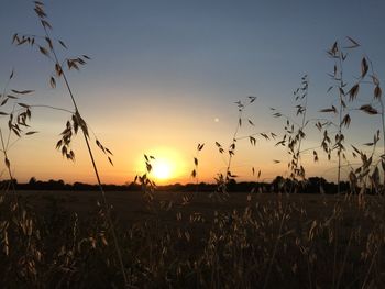 Scenic view of landscape at sunset