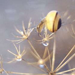 High angle view of insect on plant