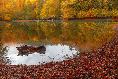 Reflection of autumn leaves on lake