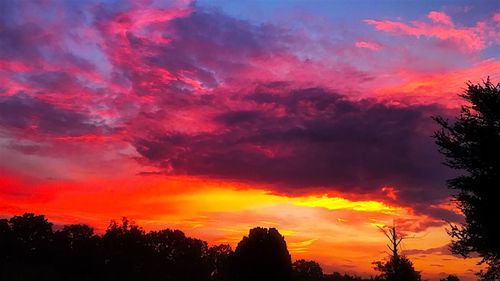 Low angle view of silhouette trees against dramatic sky