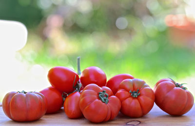 Close-up of tomatoes on table