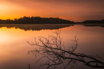 Fallen tree lying in lake at sunrise