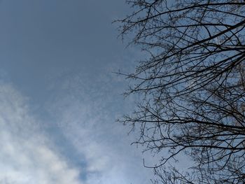 Low angle view of bare tree against sky