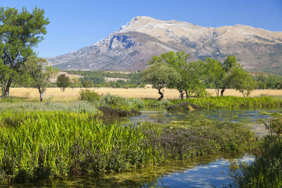 The cetina river in upper course