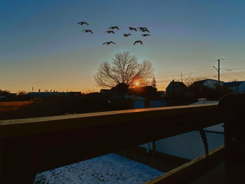 Silhouette birds flying against sky during sunset