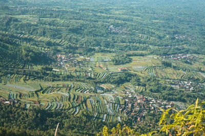 Rural landscape from aerial view in magelang area, central java