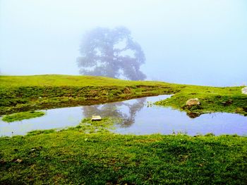 Scenic view of green landscape against clear sky