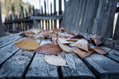Close-up of dry leaves on wooden table