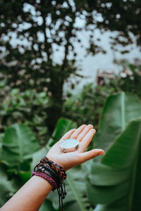 Cropped hand of woman holding navigational compass against plants