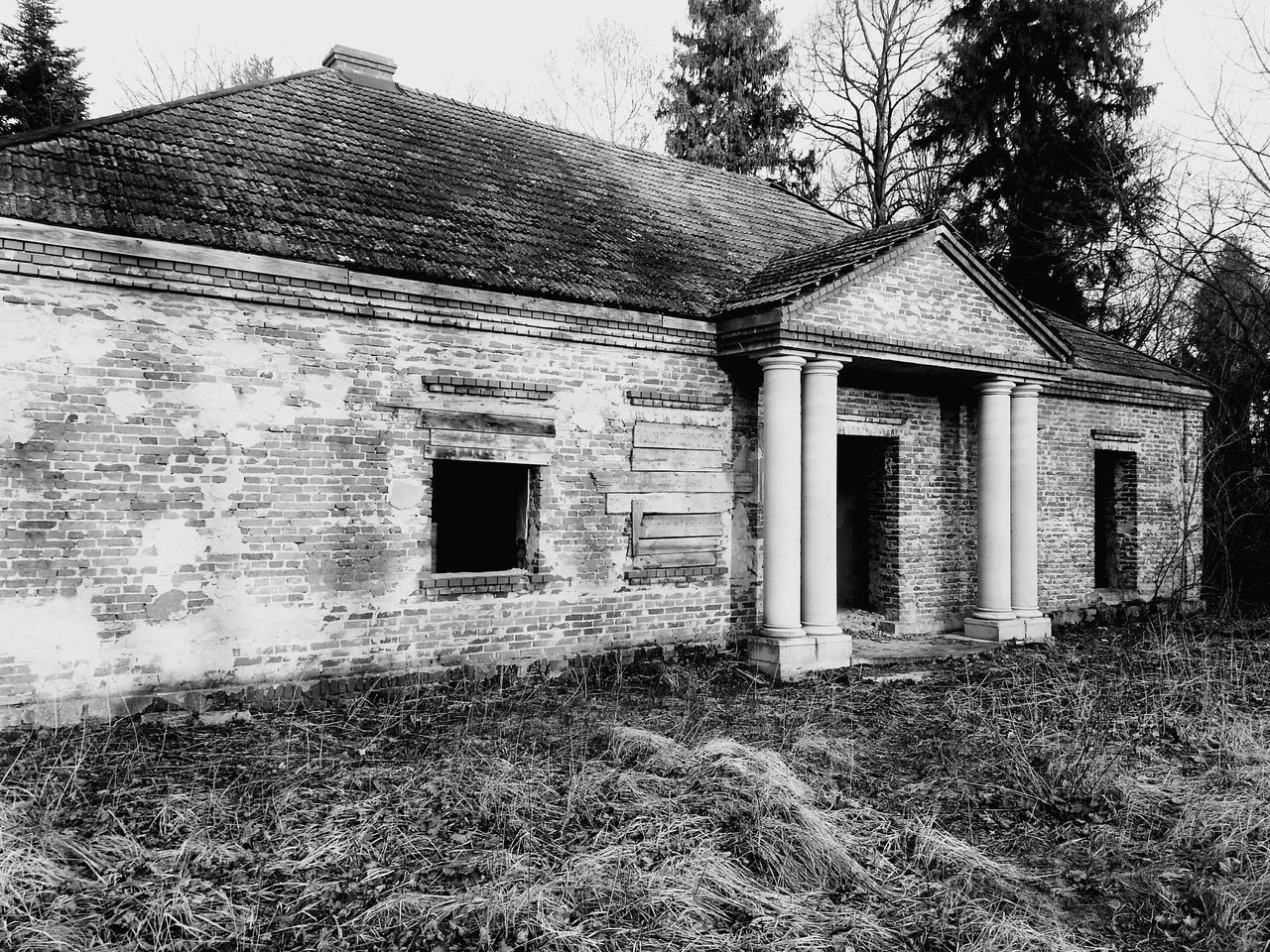 architecture, building exterior, built structure, window, tree, no people, day, outdoors, sky