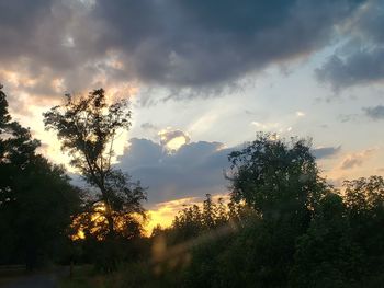 Low angle view of silhouette trees against sky during sunset