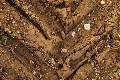 High angle view of footprints on snow