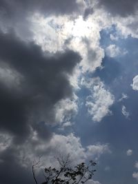 Low angle view of silhouette tree against sky