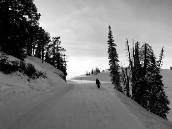 Rear view of man on snow covered road