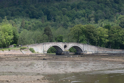 Arch bridge over river in forest