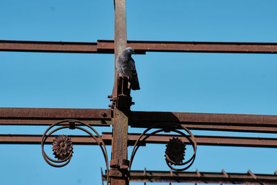 Low angle view of metallic structure against blue sky