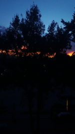 Silhouette trees in forest against sky at night