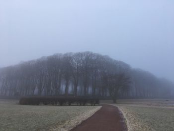 Road amidst trees against clear sky