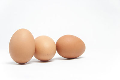 Close-up of eggs against white background