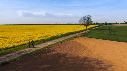 Distant view of man and woman standing on road by oilseed rape field