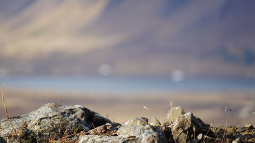 Close-up of rocks on beach against sky