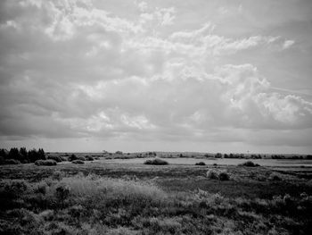 Scenic view of field against sky