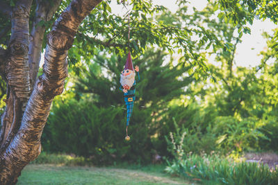 Decoration hanging on tree