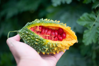 Close-up of hand holding strawberry