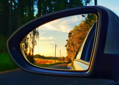 Reflection of trees in side-view mirror