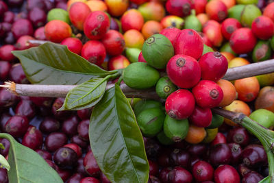 Close-up of strawberries