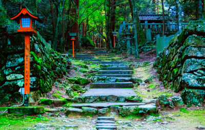 Staircase leading towards trees in forest