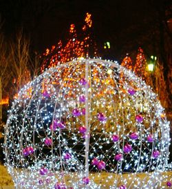 Firework display at night