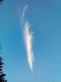 Bird flying against sky