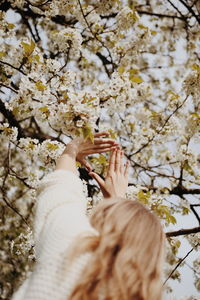 Low section of person on cherry blossom tree