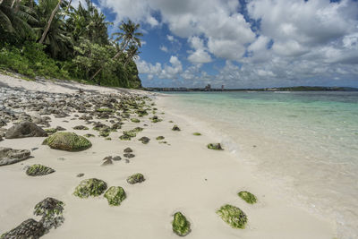 Scenic view of beach against sky
