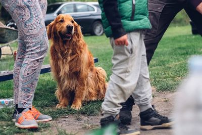 Low section of people with dog